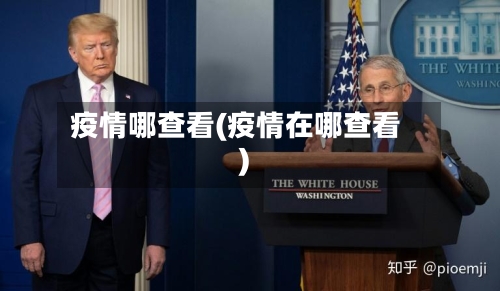 疫情哪查看(疫情在哪查看)
