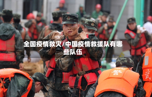 全国疫情救灾/中国疫情救援队有哪些队伍