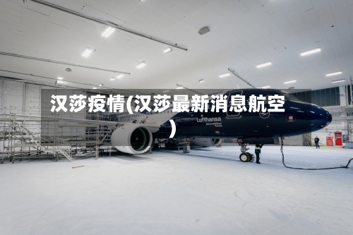 汉莎疫情(汉莎最新消息航空)