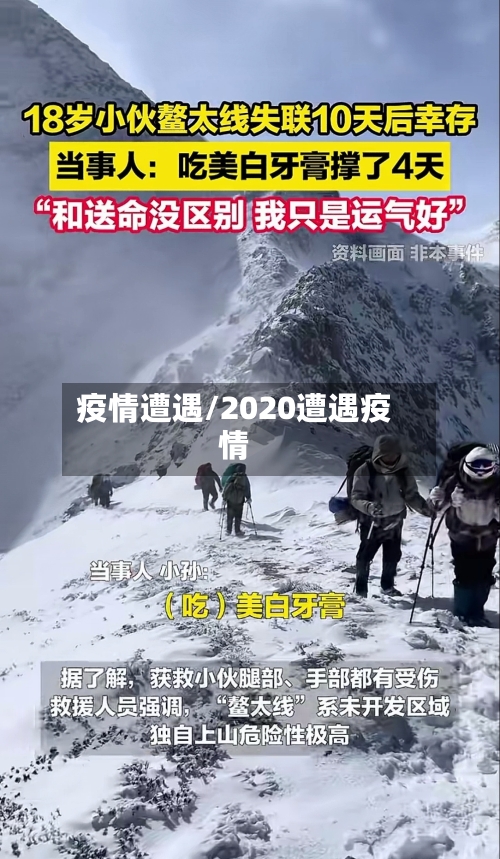 疫情遭遇/2020遭遇疫情