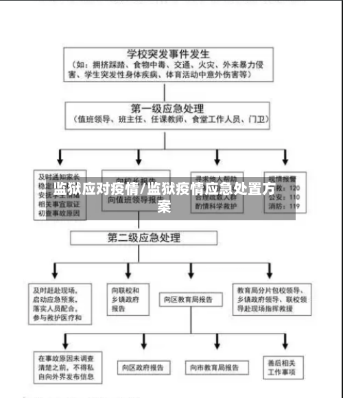 监狱应对疫情/监狱疫情应急处置方案