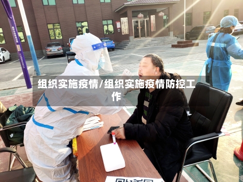 组织实施疫情/组织实施疫情防控工作