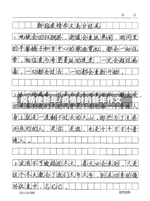 疫情使新年/疫情时的新年作文