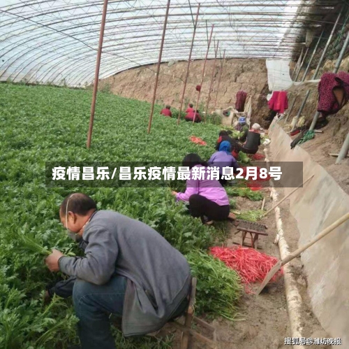 疫情昌乐/昌乐疫情最新消息2月8号