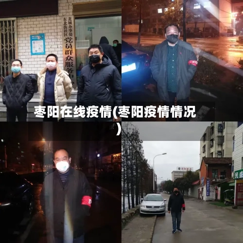 枣阳在线疫情(枣阳疫情情况)