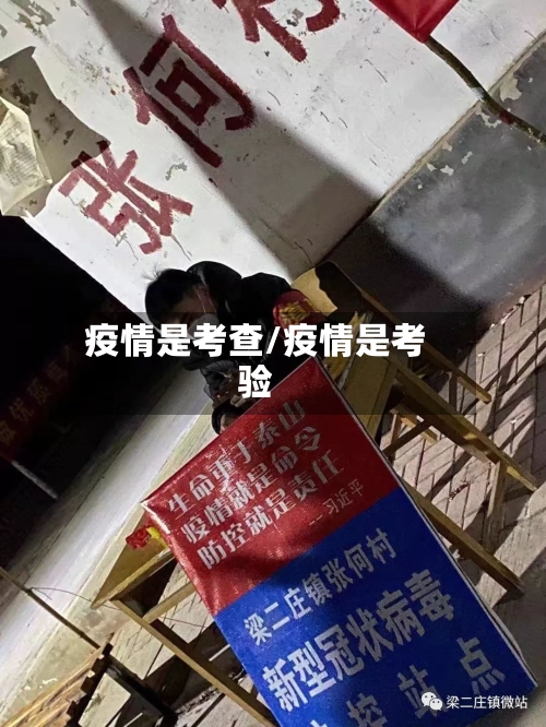 疫情是考查/疫情是考验