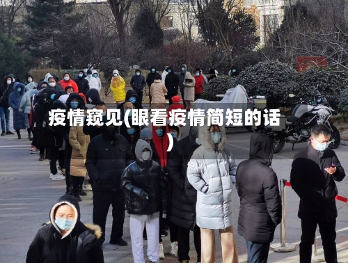 疫情窥见(眼看疫情简短的话)