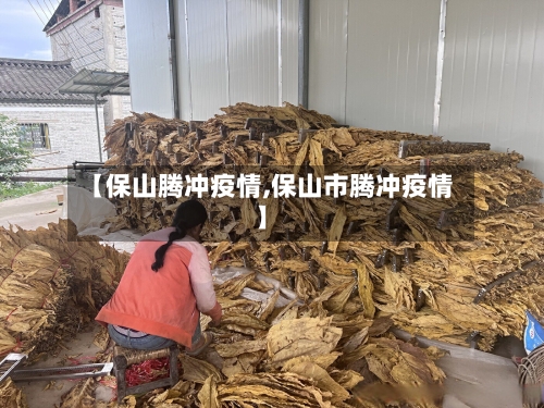 【保山腾冲疫情,保山市腾冲疫情】