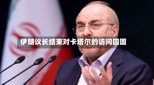 伊朗议长结束对卡塔尔的访问回国