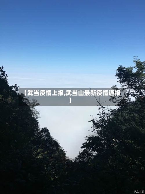 【武当疫情上报,武当山最新疫情通报】