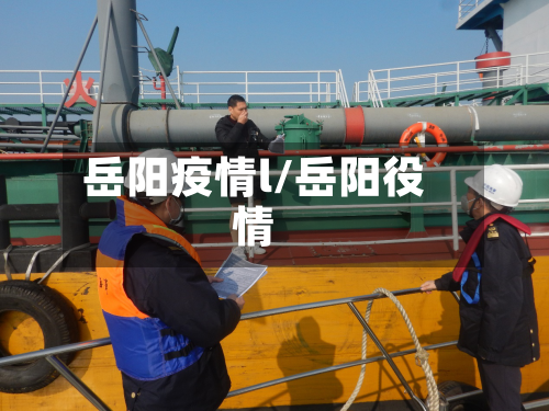岳阳疫情l/岳阳役情