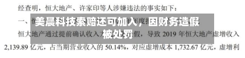 美晨科技索赔还可加入,因财务造假被处罚
