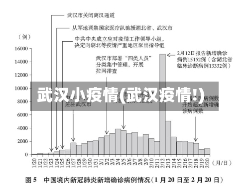 武汉小疫情(武汉疫情!)
