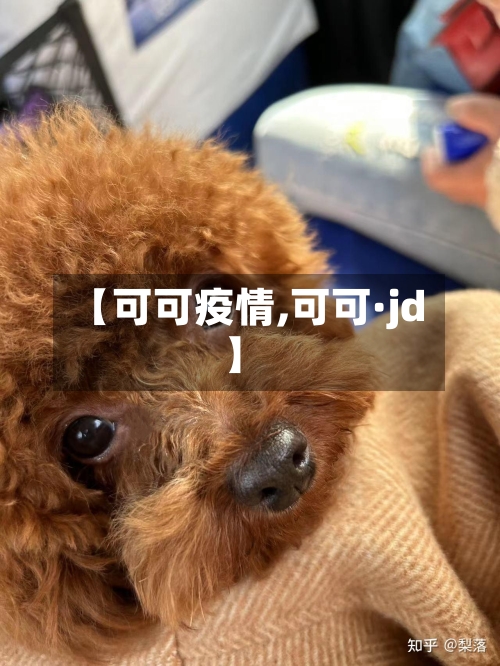 【可可疫情,可可·jd】