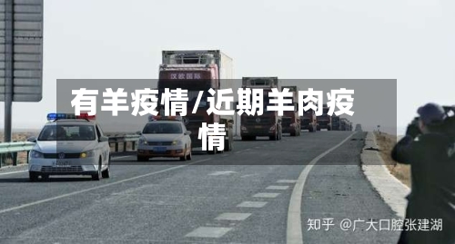 有羊疫情/近期羊肉疫情