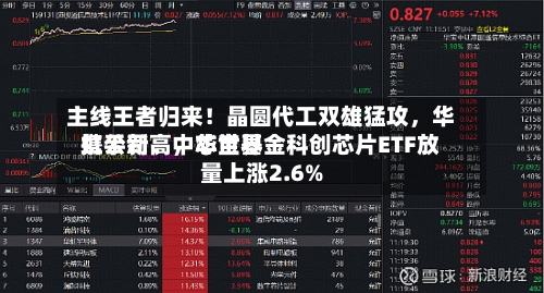 主线王者归来!晶圆代工双雄猛攻,华虹公司、中芯世界
携手新高,华宝基金科创芯片ETF放量上涨2.6%