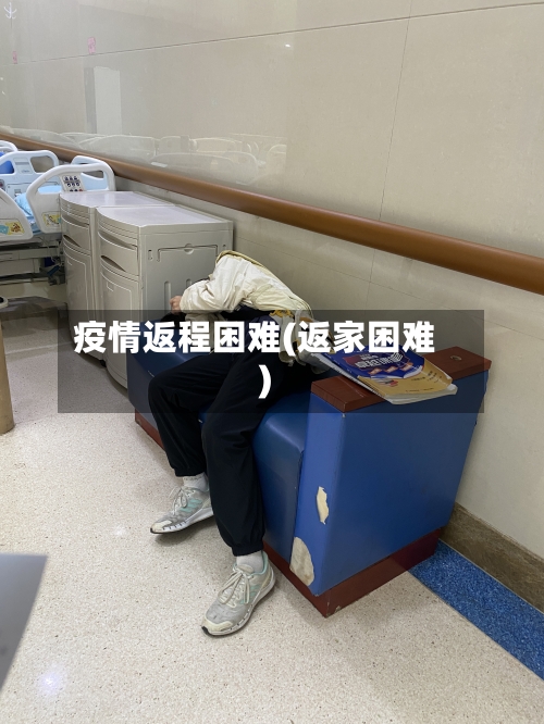 疫情返程困难(返家困难)