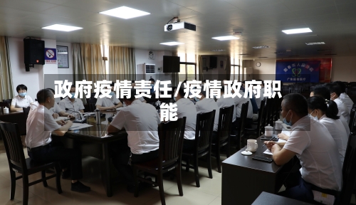 政府疫情责任/疫情政府职能