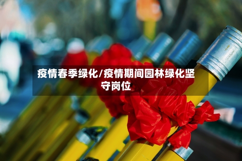 疫情春季绿化/疫情期间园林绿化坚守岗位