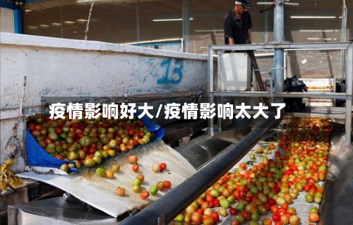 疫情影响好大/疫情影响太大了