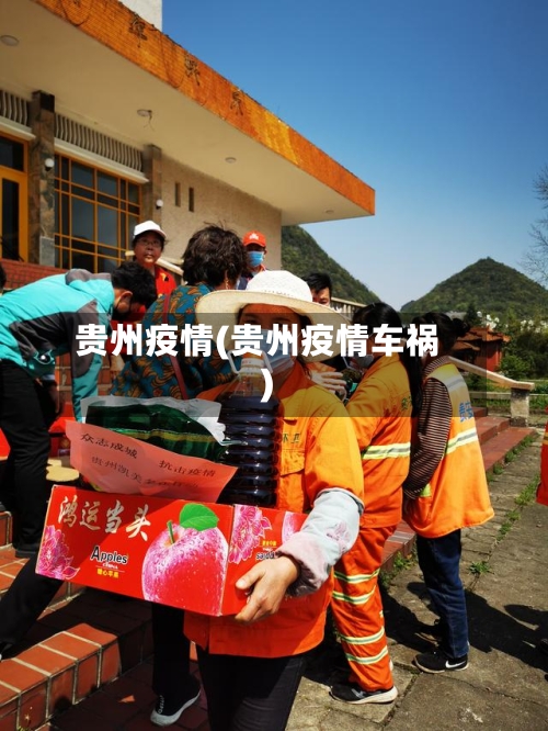 贵州疫情(贵州疫情车祸)
