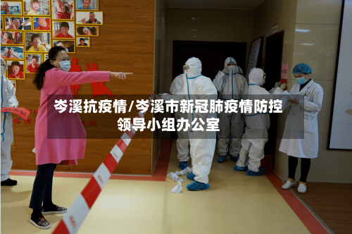 岑溪抗疫情/岑溪市新冠肺疫情防控领导小组办公室