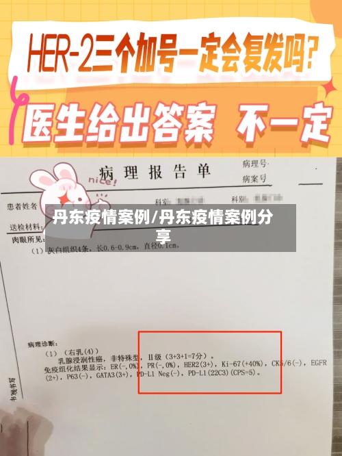 丹东疫情案例/丹东疫情案例分享