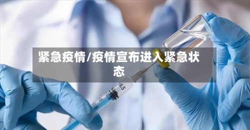 紧急疫情/疫情宣布进入紧急状态