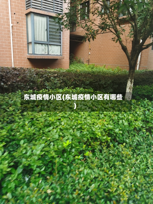 东城疫情小区(东城疫情小区有哪些)