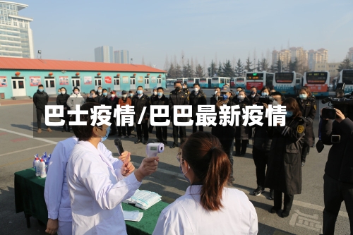 巴士疫情/巴巴最新疫情