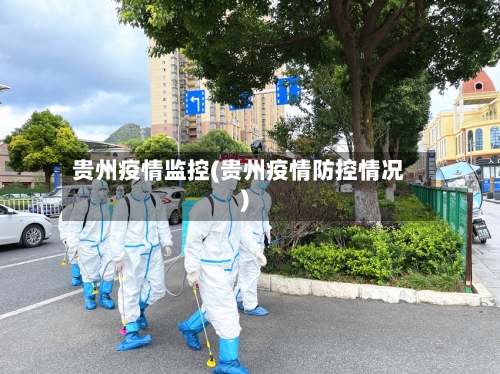 贵州疫情监控(贵州疫情防控情况)