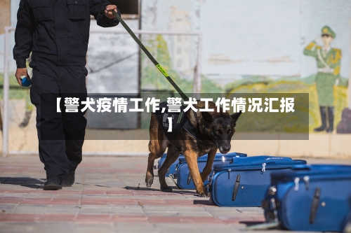 【警犬疫情工作,警犬工作情况汇报】