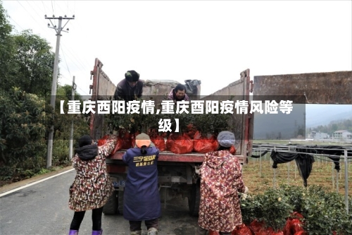 【重庆西阳疫情,重庆酉阳疫情风险等级】