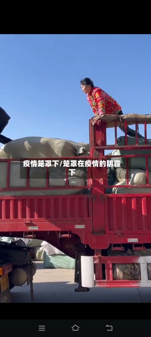 疫情笼罩下/笼罩在疫情的阴霾下