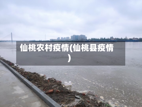 仙桃农村疫情(仙桃县疫情)
