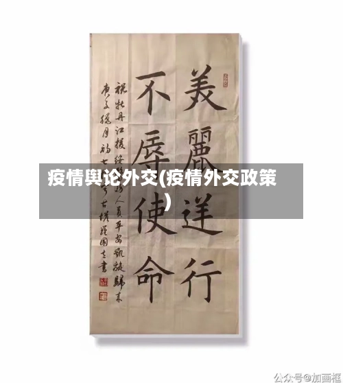 疫情舆论外交(疫情外交政策)