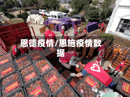 恩德疫情/恩施疫情数据