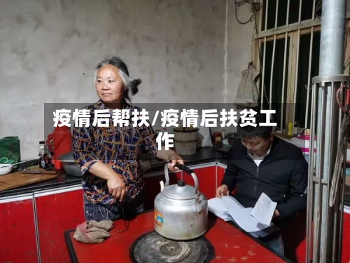 疫情后帮扶/疫情后扶贫工作