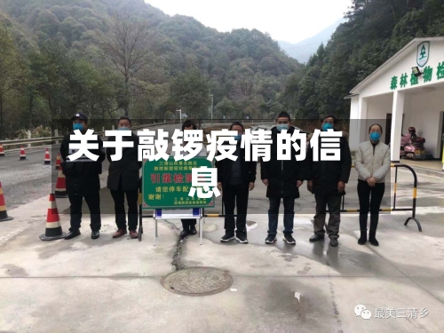 关于敲锣疫情的信息