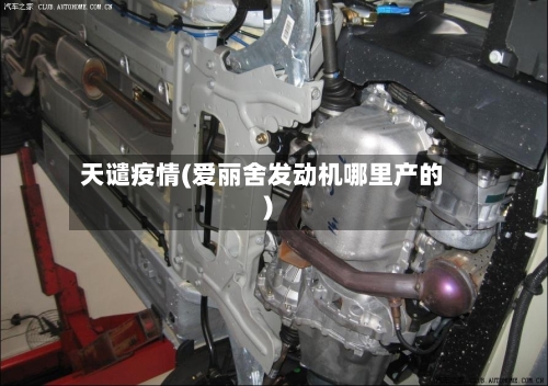 天谴疫情(爱丽舍发动机哪里产的)