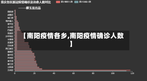 【南阳疫情各乡,南阳疫情确诊人数】
