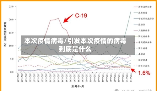本次疫情病毒/引发本次疫情的病毒到底是什么