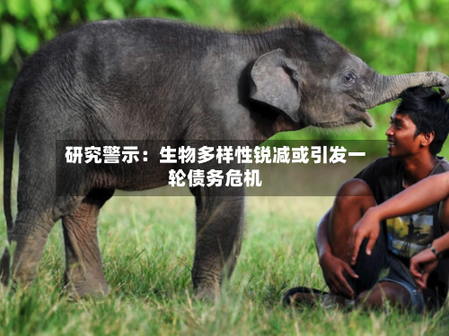 研究警示：生物多样性锐减或引发一轮债务危机