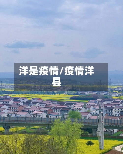 洋是疫情/疫情洋县