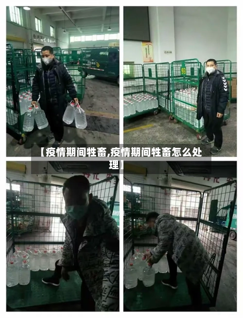 【疫情期间牲畜,疫情期间牲畜怎么处理】