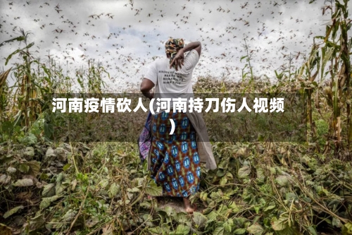 河南疫情砍人(河南持刀伤人视频)