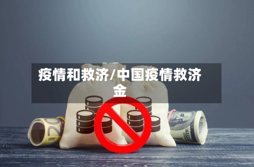 疫情和救济/中国疫情救济金