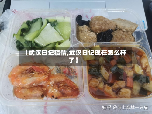 【武汉日记疫情,武汉日记现在怎么样了】