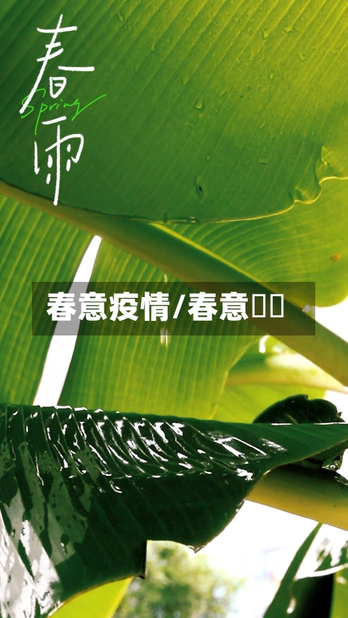 春意疫情/春意螎螎