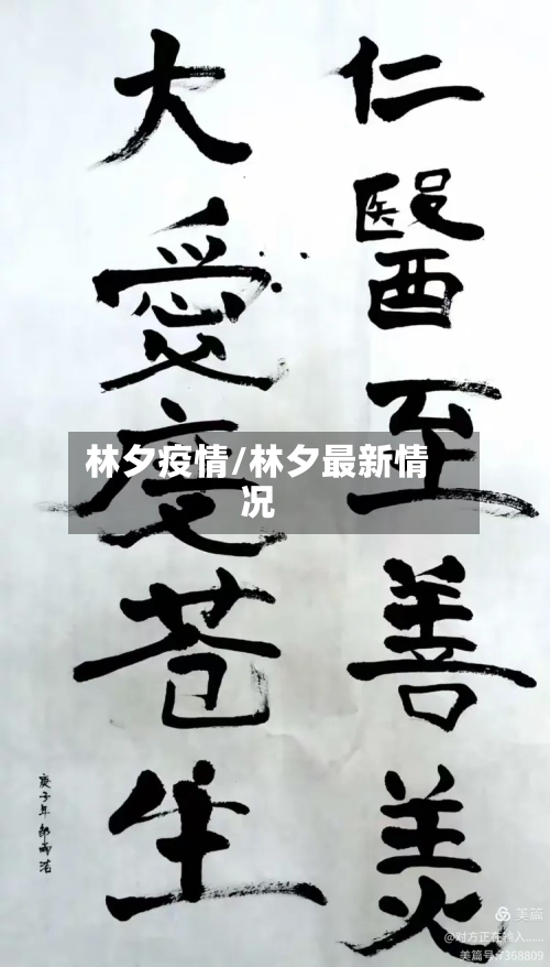 林夕疫情/林夕最新情况
